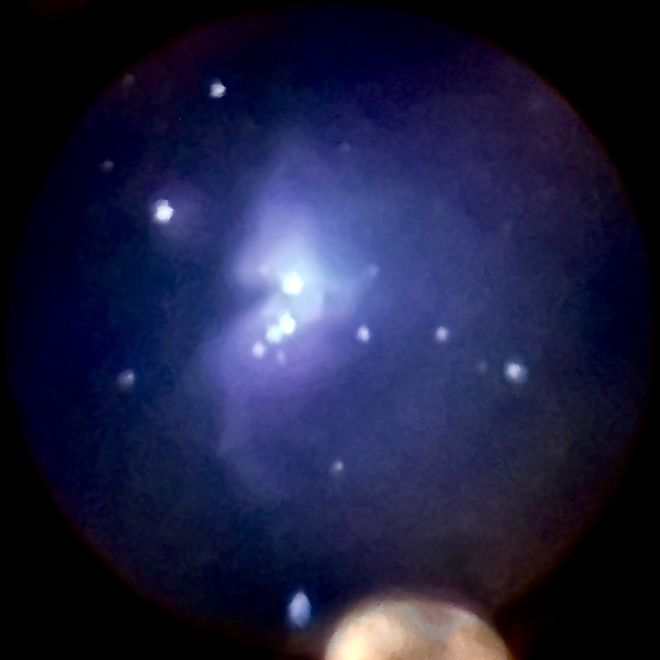 Orion Nebula