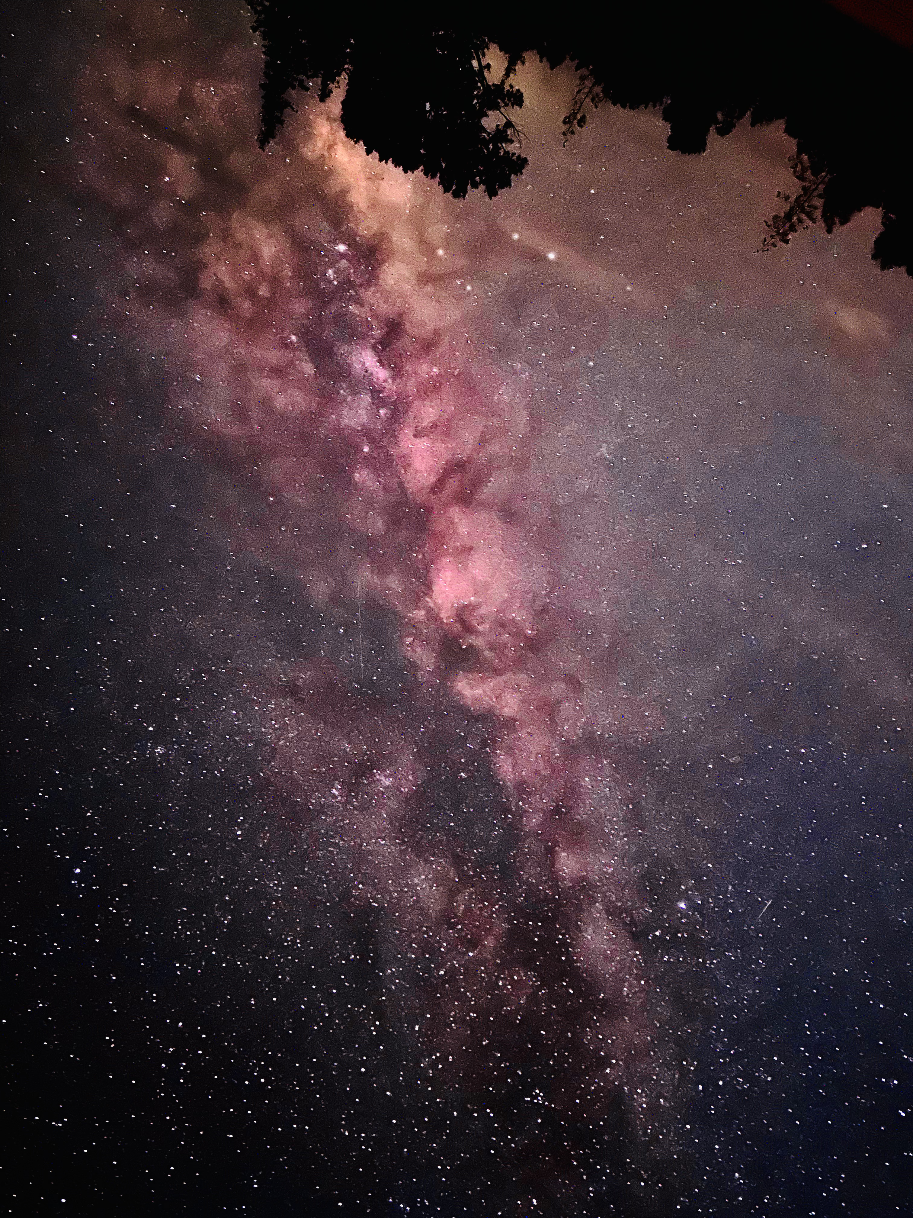 Milky Way Skyscape